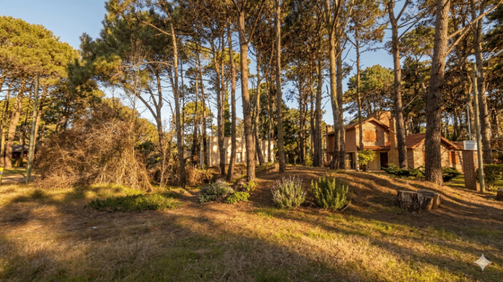 Venta Lote Margaritas en Costa del Este - Costa del Este - foto 4